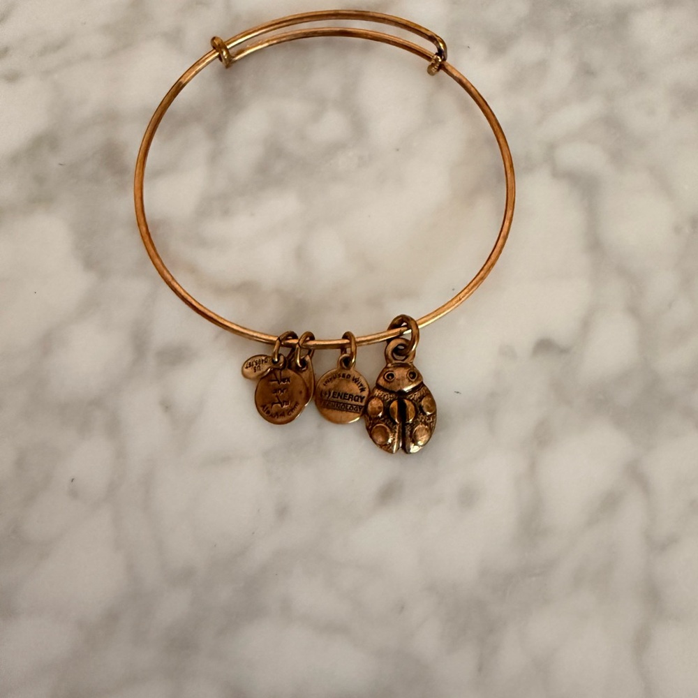 Alex and Ani Bangle Bracelet with charms: lady bug - adjustable - copper